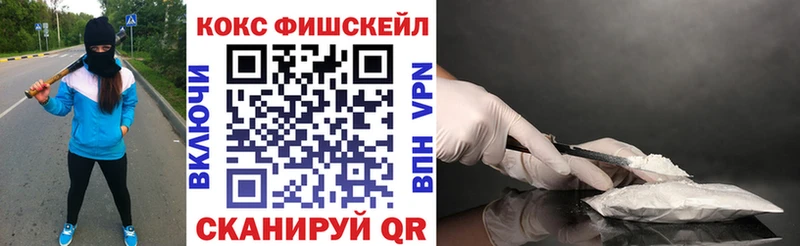 наркота  Новочебоксарск  Cocaine FishScale 