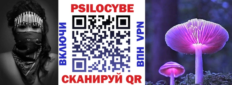 Псилоцибиновые грибы MAGIC MUSHROOMS  блэк спрут как войти  Новочебоксарск 