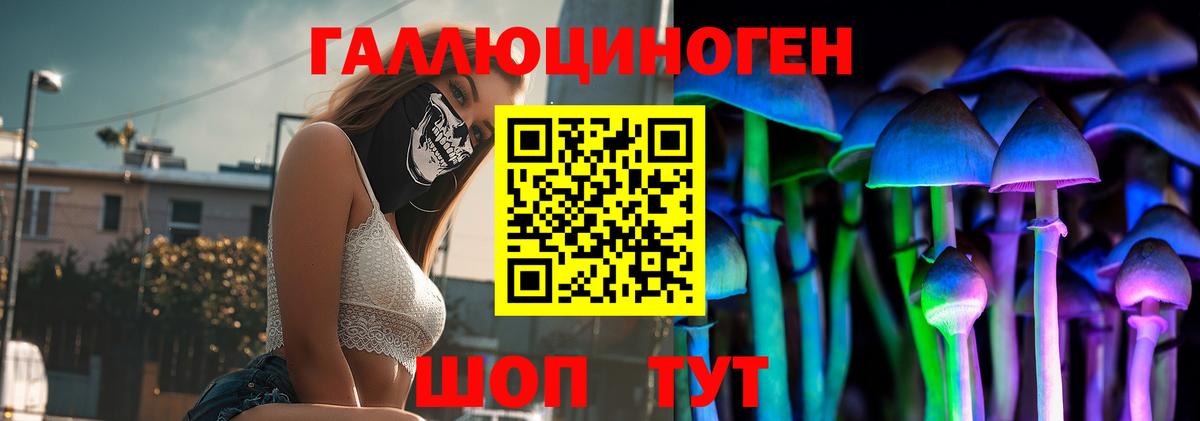 Псилоцибиновые грибы Psilocybe  Вход с VPN  Псилоцибиновые грибы Psilocybine cubensis  Новочебоксарск 